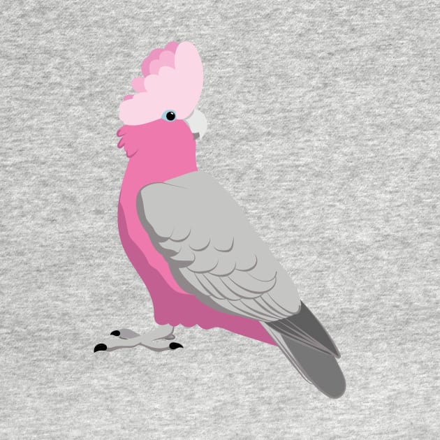 Galah pink cockatoo by Zolinstudio